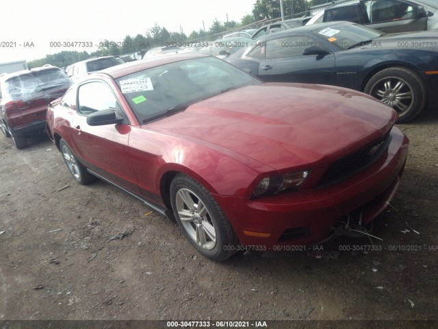 FORD MUSTANG 2010 1zvbp8an8a5148377