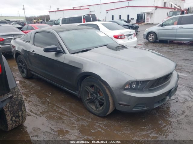 FORD MUSTANG 2010 1zvbp8an8a5148735