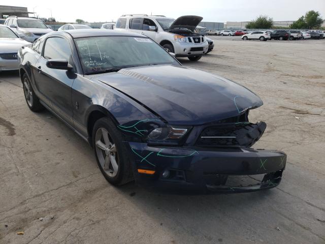 FORD MUSTANG 2010 1zvbp8an8a5149061