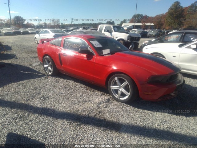 FORD MUSTANG 2010 1zvbp8an8a5149545