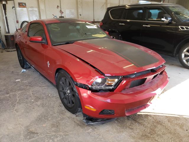 FORD MUSTANG 2010 1zvbp8an8a5151490