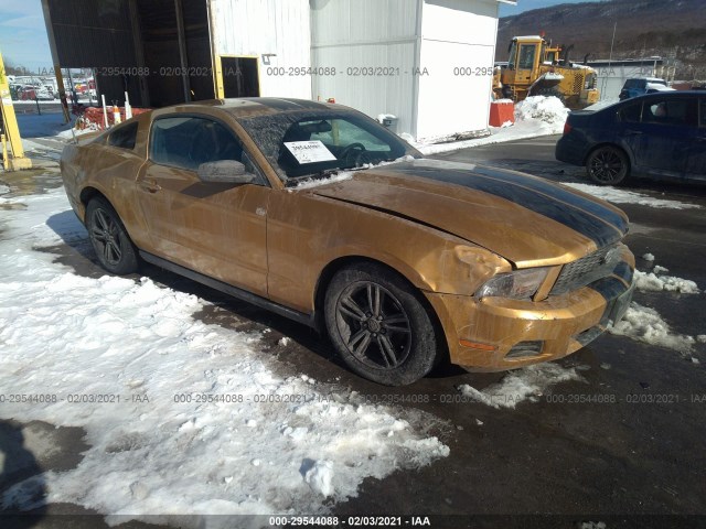 FORD MUSTANG 2010 1zvbp8an8a5153899