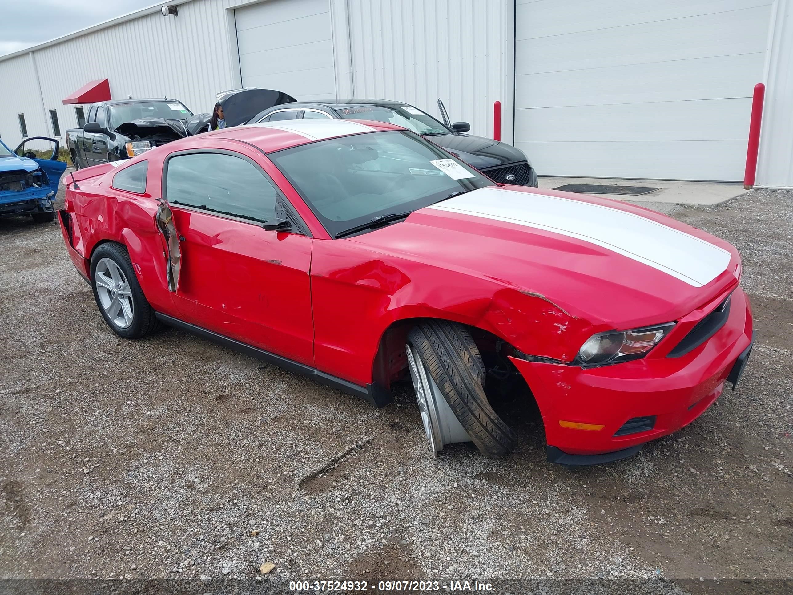 FORD MUSTANG 2010 1zvbp8an8a5154857