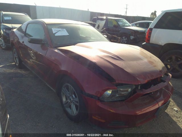 FORD MUSTANG 2010 1zvbp8an8a5155278