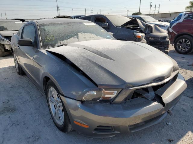 FORD MUSTANG 2010 1zvbp8an8a5160299