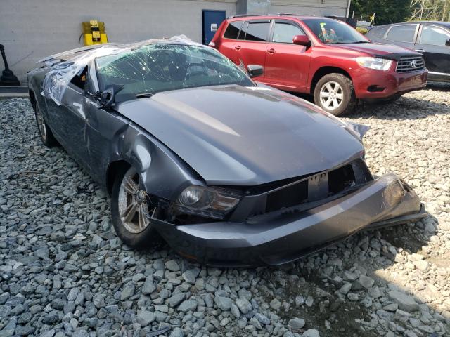 FORD MUSTANG 2010 1zvbp8an8a5161839