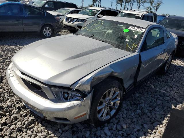 FORD MUSTANG 2010 1zvbp8an8a5163364