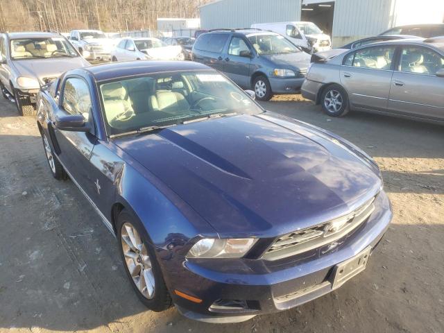 FORD MUSTANG 2010 1zvbp8an8a5164644