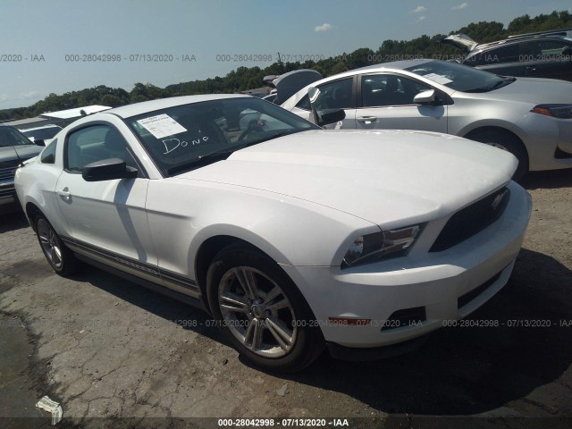 FORD MUSTANG 2010 1zvbp8an8a5165387