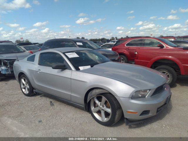 FORD MUSTANG 2010 1zvbp8an8a5165471