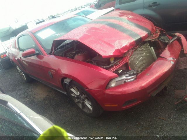 FORD MUSTANG 2010 1zvbp8an8a5165678