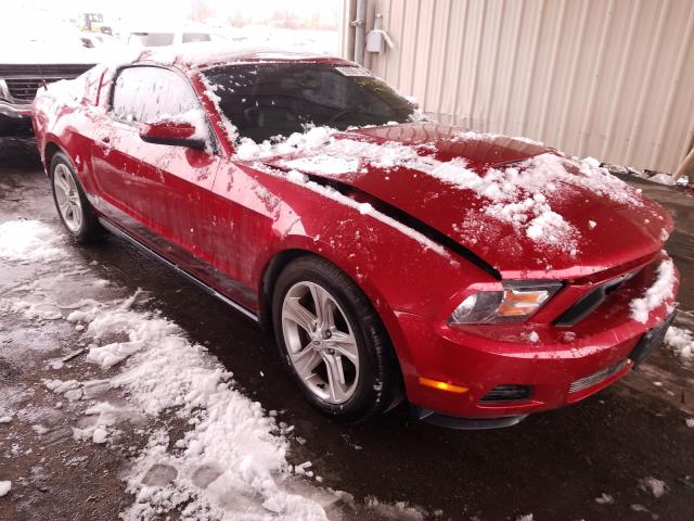 FORD MUSTANG 2010 1zvbp8an8a5165874