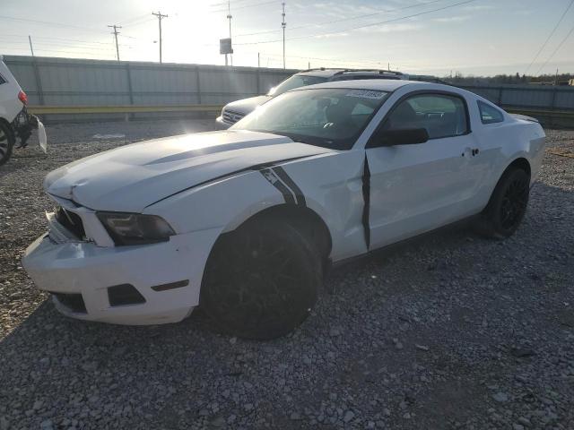 FORD MUSTANG 2010 1zvbp8an8a5166166