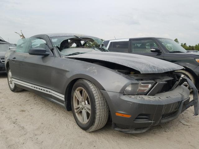 FORD MUSTANG 2010 1zvbp8an8a5166264