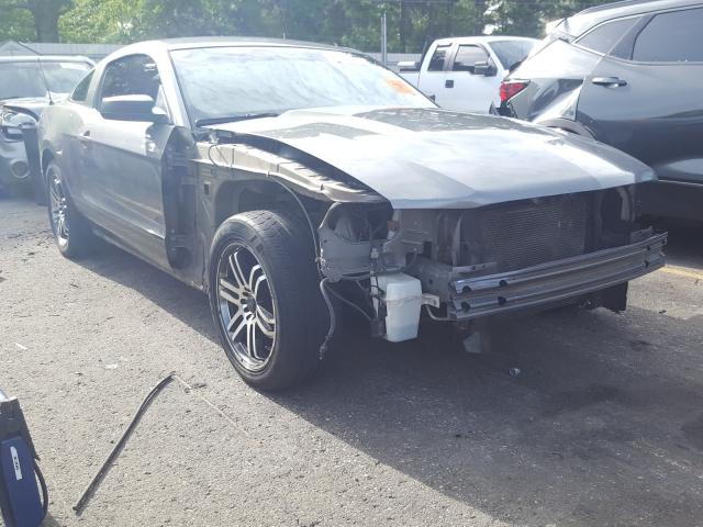 FORD MUSTANG 2010 1zvbp8an8a5170041