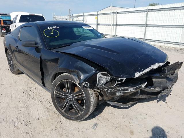 FORD MUSTANG 2010 1zvbp8an8a5170623