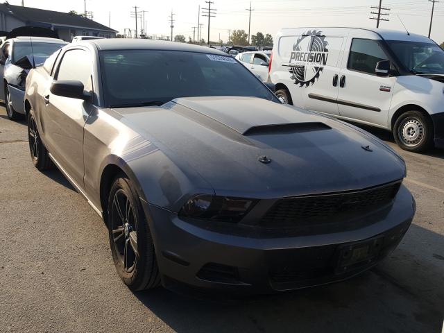 FORD MUSTANG 2010 1zvbp8an8a5172596