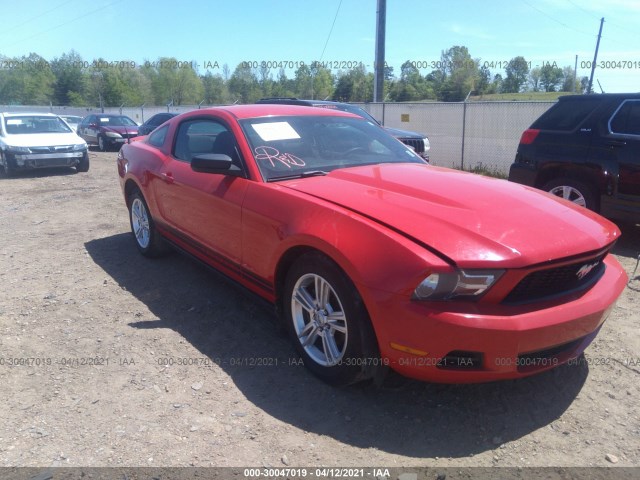 FORD MUSTANG 2010 1zvbp8an8a5175238