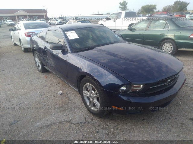 FORD MUSTANG 2010 1zvbp8an8a5177135