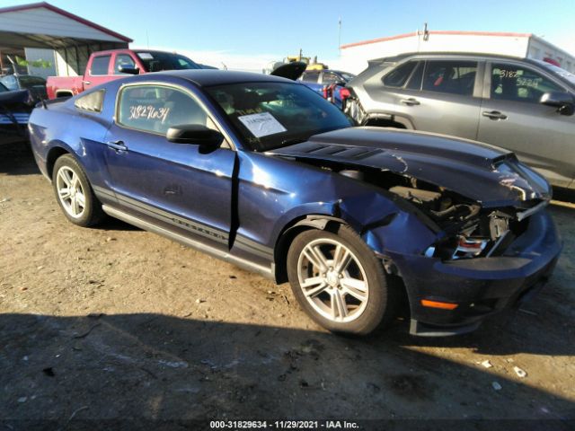 FORD MUSTANG 2010 1zvbp8an8a5179757