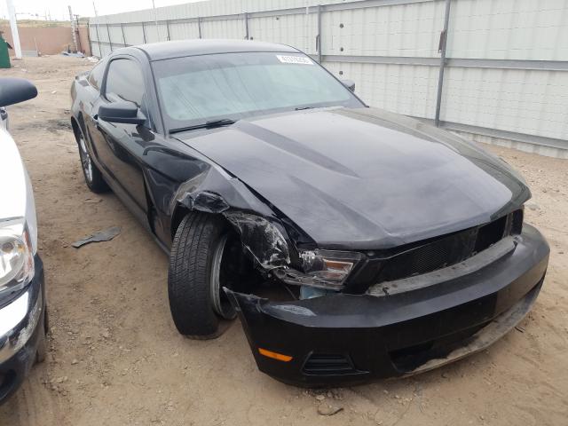 FORD MUSTANG 2010 1zvbp8an8a5181069