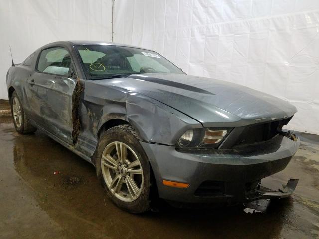 FORD MUSTANG 2010 1zvbp8an8a5181718