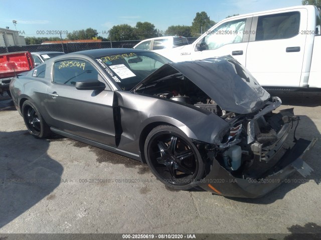 FORD MUSTANG 2010 1zvbp8an9a5104887