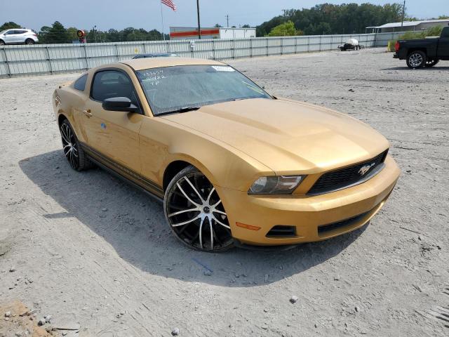 FORD MUSTANG 2010 1zvbp8an9a5108678