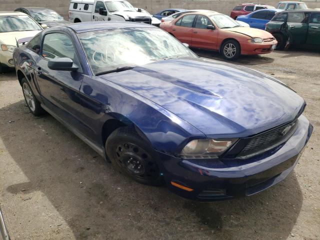 FORD MUSTANG 2010 1zvbp8an9a5119535