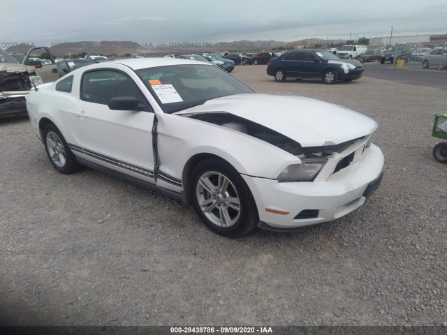 FORD MUSTANG 2010 1zvbp8an9a5125593