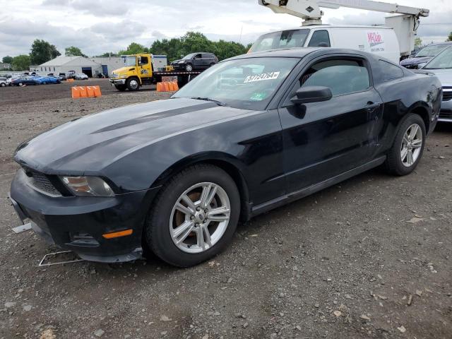 FORD MUSTANG 2010 1zvbp8an9a5127926