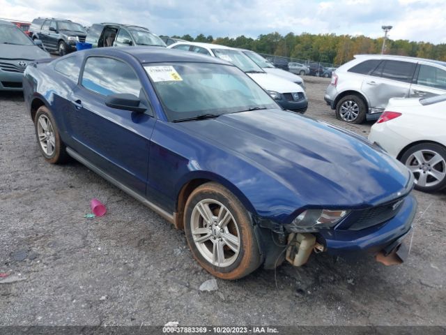 FORD MUSTANG 2010 1zvbp8an9a5128297