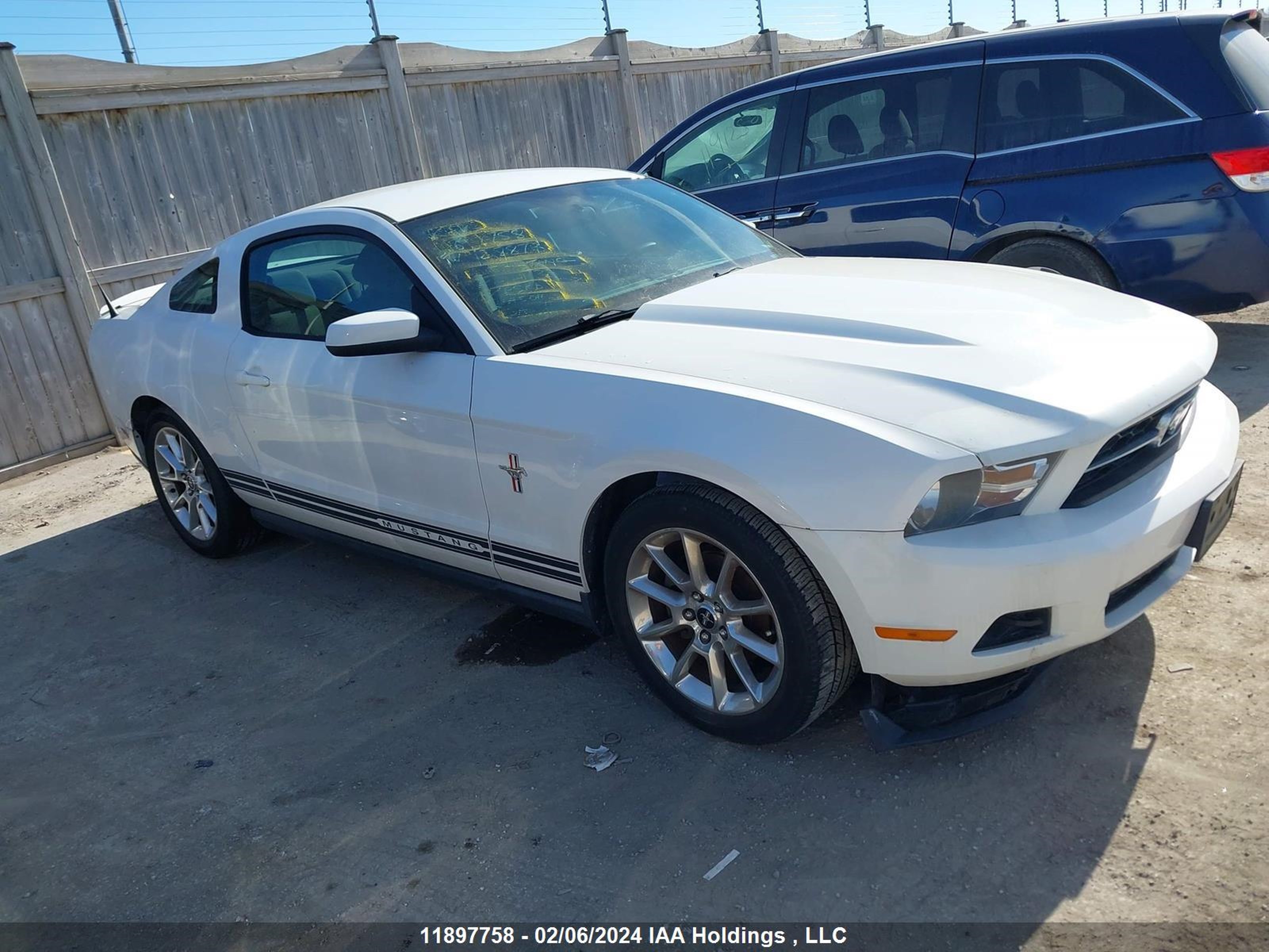 FORD MUSTANG 2010 1zvbp8an9a5128879