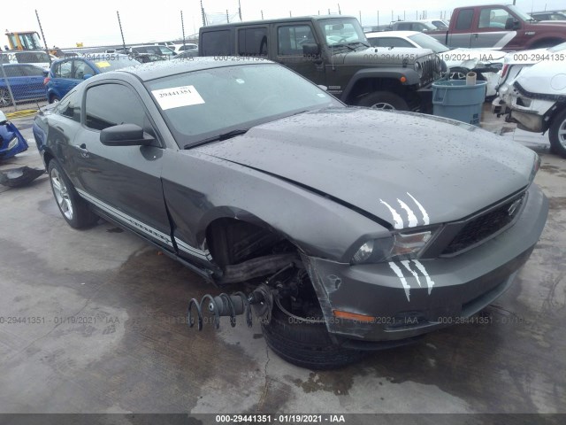 FORD MUSTANG 2010 1zvbp8an9a5135959