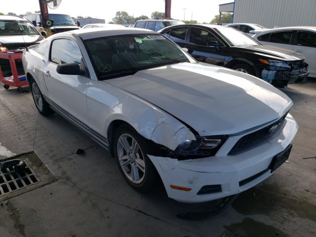 FORD MUSTANG 2010 1zvbp8an9a5136383