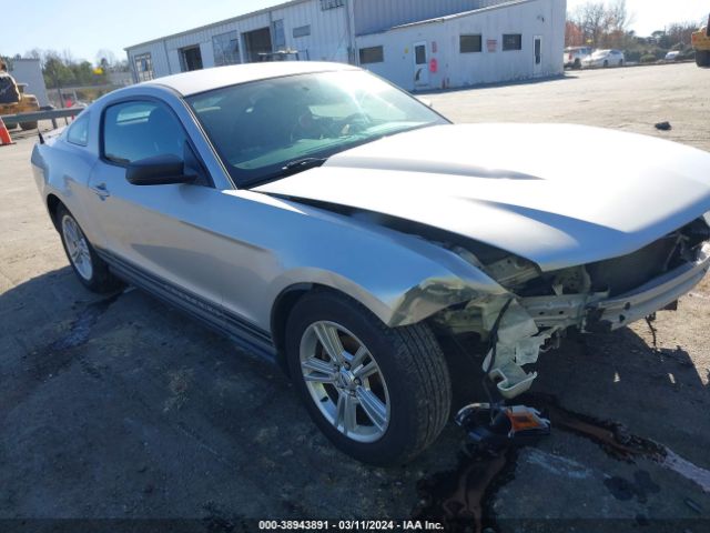 FORD MUSTANG 2010 1zvbp8an9a5137839