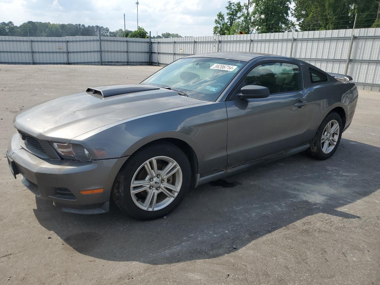 FORD MUSTANG 2010 1zvbp8an9a5138120