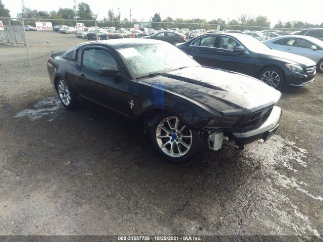 FORD MUSTANG 2010 1zvbp8an9a5142880