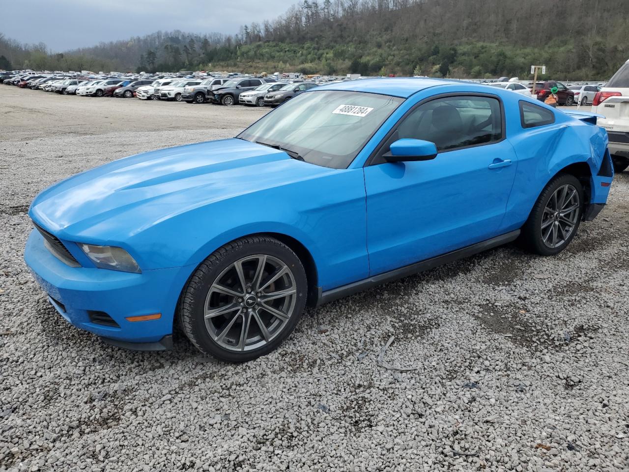 FORD MUSTANG 2010 1zvbp8an9a5143012