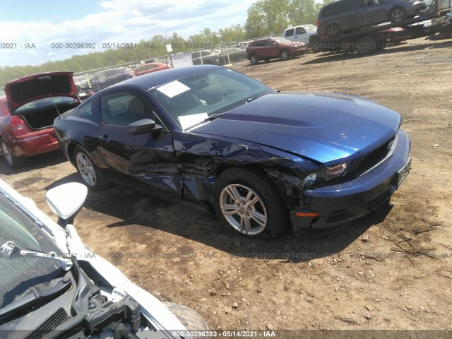 FORD MUSTANG 2010 1zvbp8an9a5146900