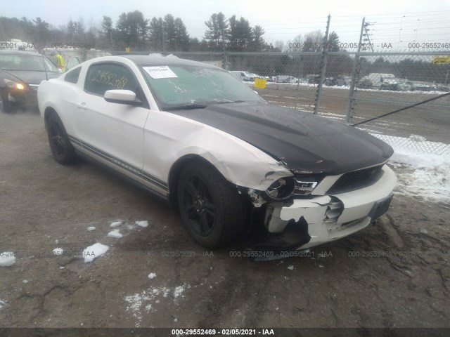 FORD MUSTANG 2010 1zvbp8an9a5150798