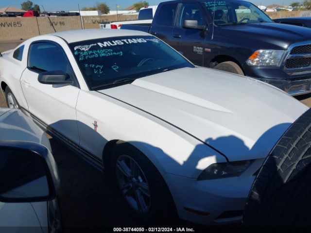 FORD MUSTANG 2010 1zvbp8an9a5152647