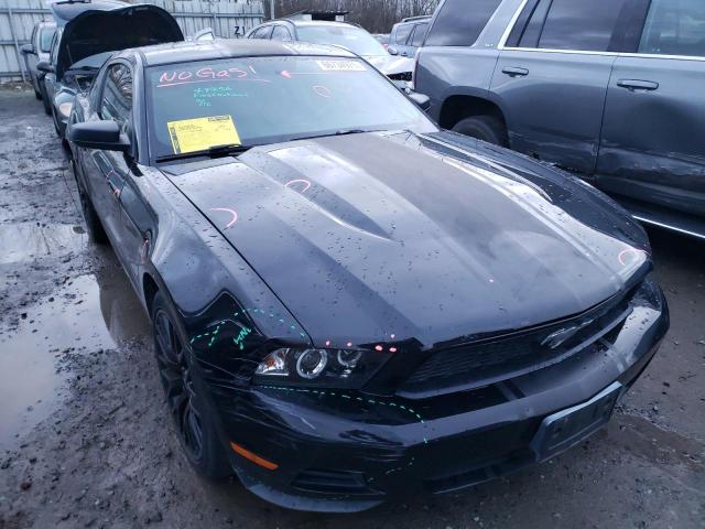 FORD MUSTANG 2010 1zvbp8an9a5153748