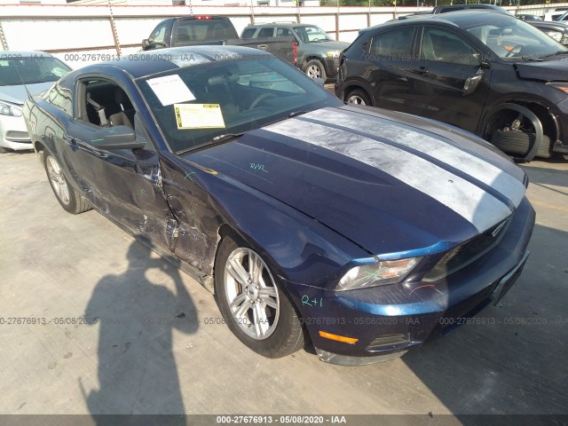 FORD MUSTANG 2010 1zvbp8an9a5153863