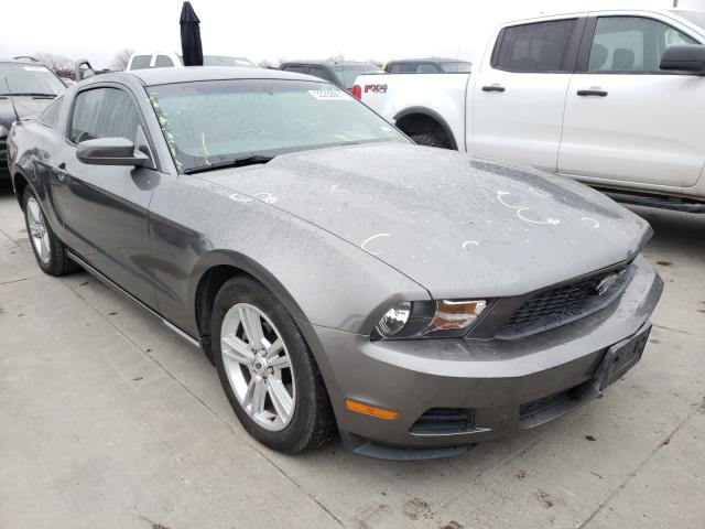 FORD MUSTANG 2010 1zvbp8an9a5157766