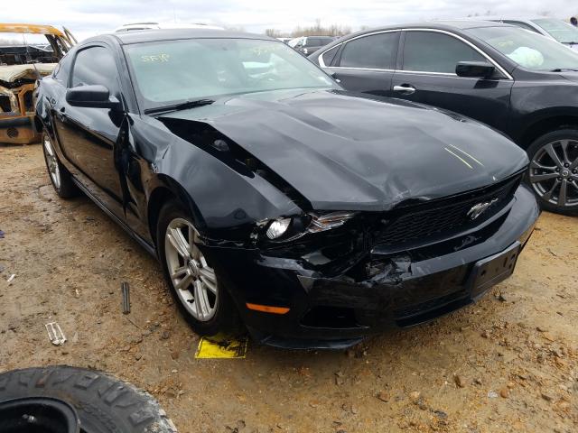 FORD MUSTANG 2010 1zvbp8an9a5158920