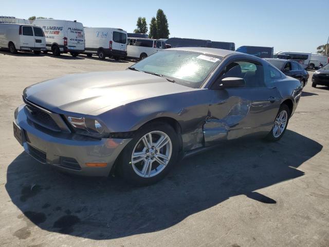 FORD MUSTANG 2010 1zvbp8an9a5161459