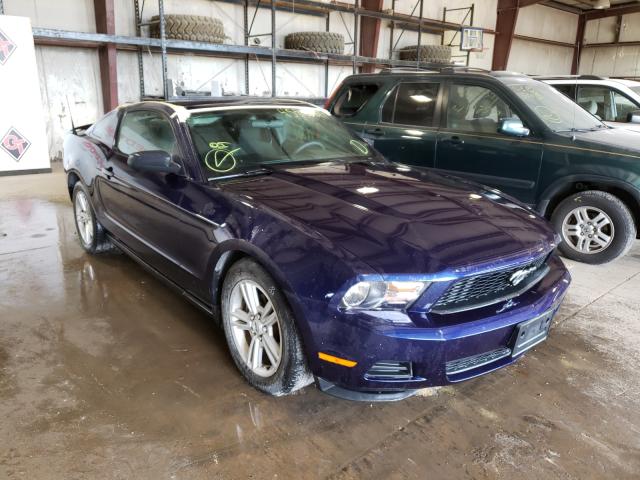 FORD MUSTANG 2010 1zvbp8an9a5164412