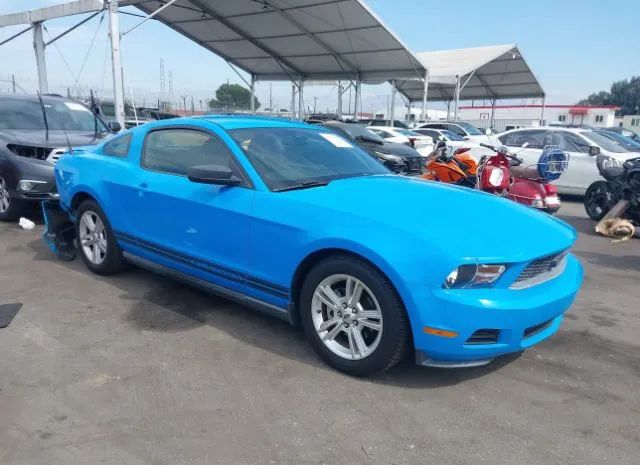 FORD MUSTANG 2010 1zvbp8an9a5164443