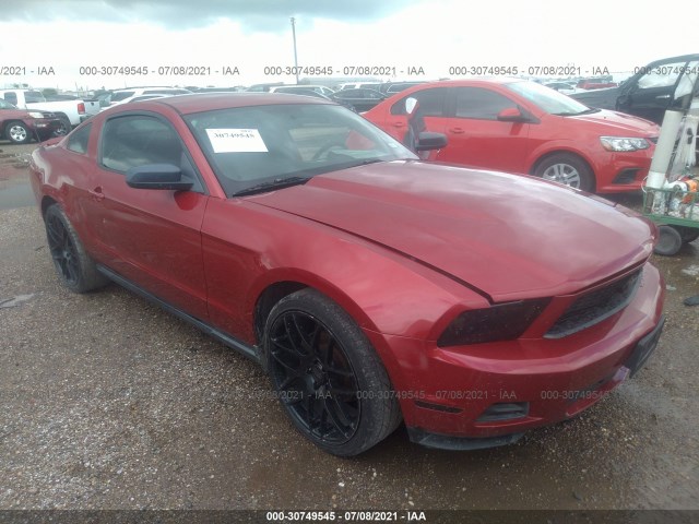 FORD MUSTANG 2010 1zvbp8an9a5164457